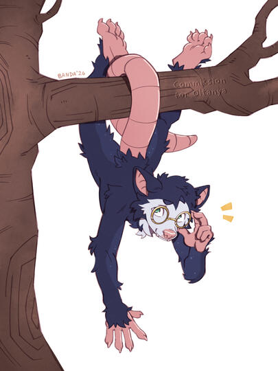 for Oltanya/@sleepy_possum
